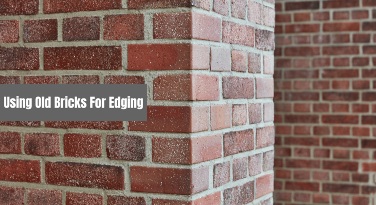 Using Old Bricks For Edging